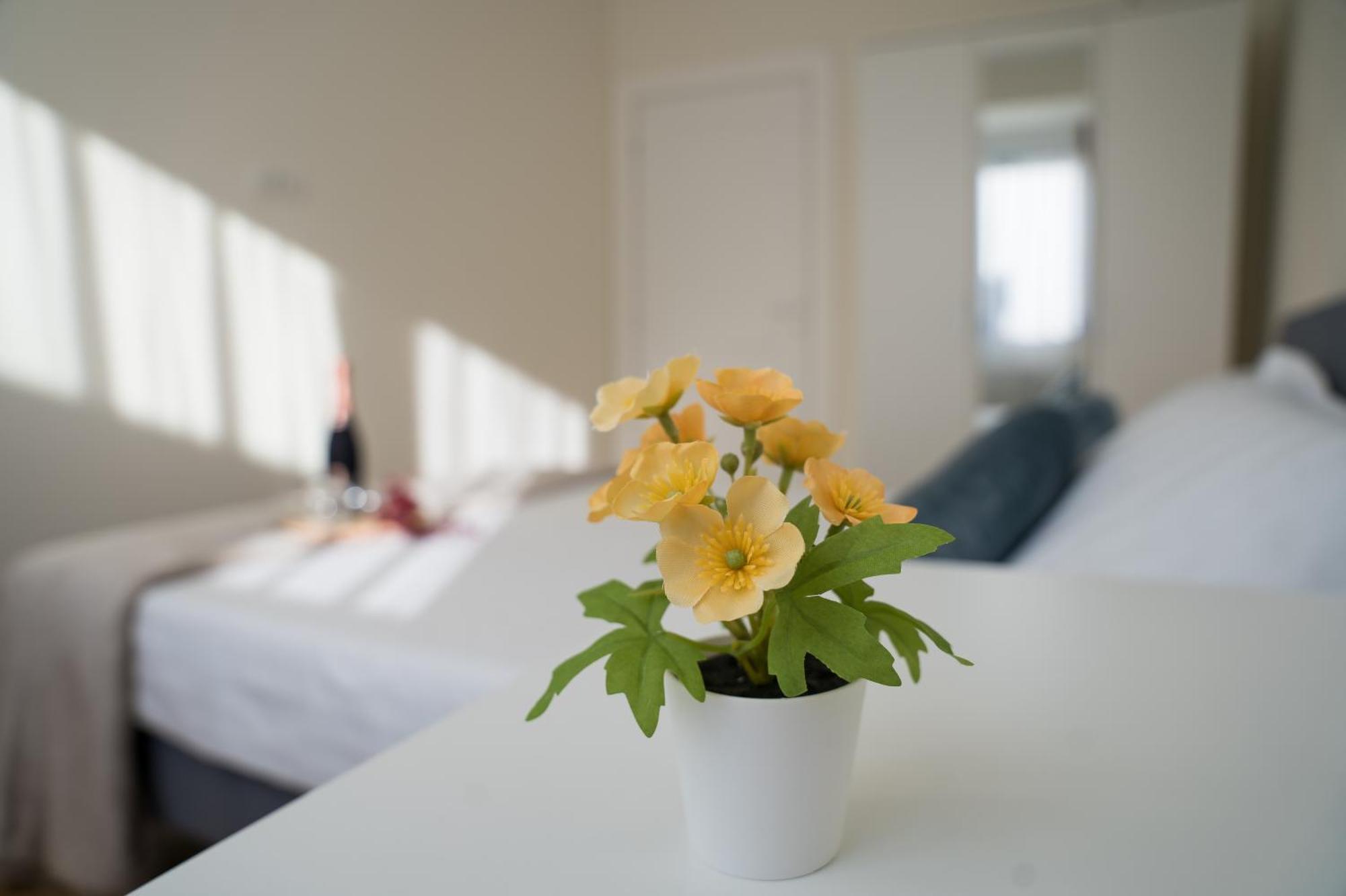 Azaleea Apartments Bucharest Luaran gambar